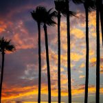 Cannes Imperdibile: Le Gemme Nascoste della Riviera Francese!