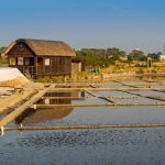 Cosa vedere a Cervia: Meraviglie Nascoste da Scoprire!