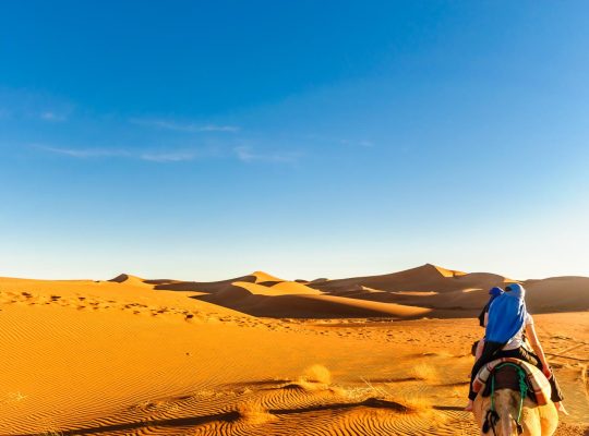 Cosa vedere a Marrakech