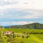 Cosa vedere a Udine: I Tesori Nascosti della Città Friulana!