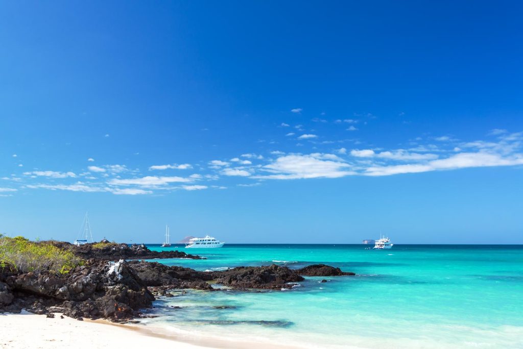 Galapagos quando andare