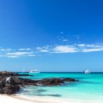 Galapagos: Quando Pianificare la Tua Avventura nel Paradiso delle Specie