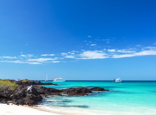 Galapagos quando andare