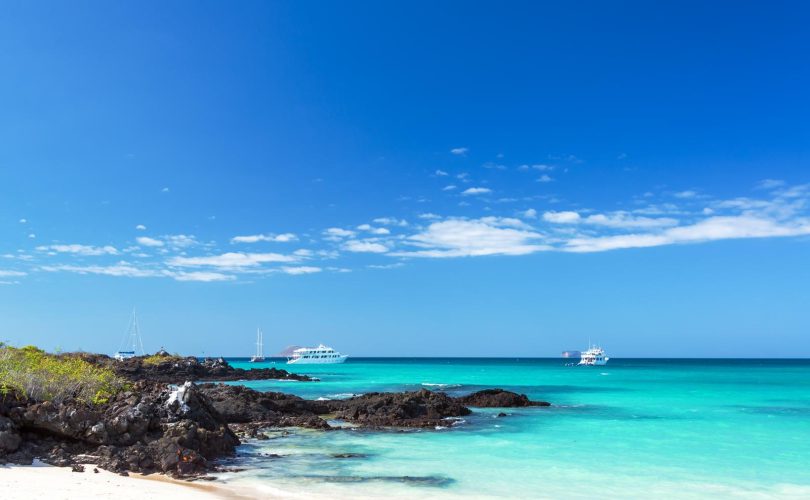 Galapagos quando andare