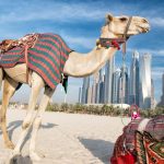 Museo del Futuro Dubai: Finestra Sull’Innovazione Globale!