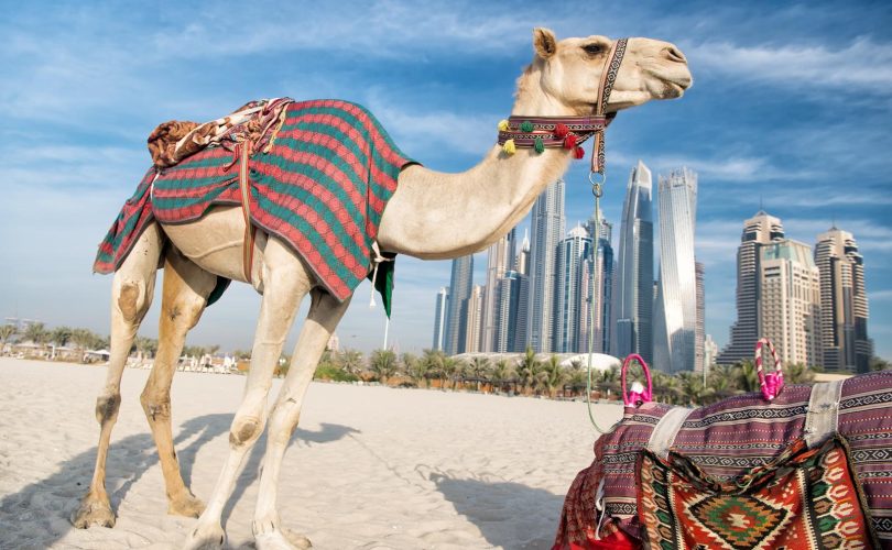 Museo del futuro Dubai