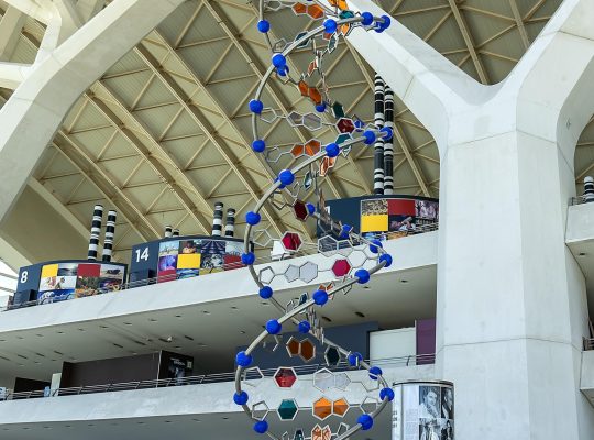 Museo delle scienze Valencia