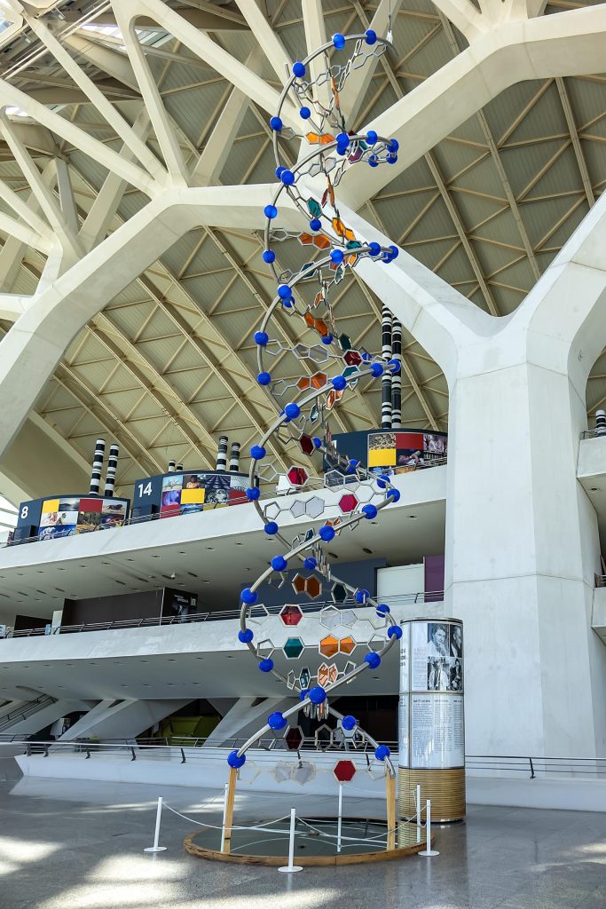 Museo delle scienze Valencia