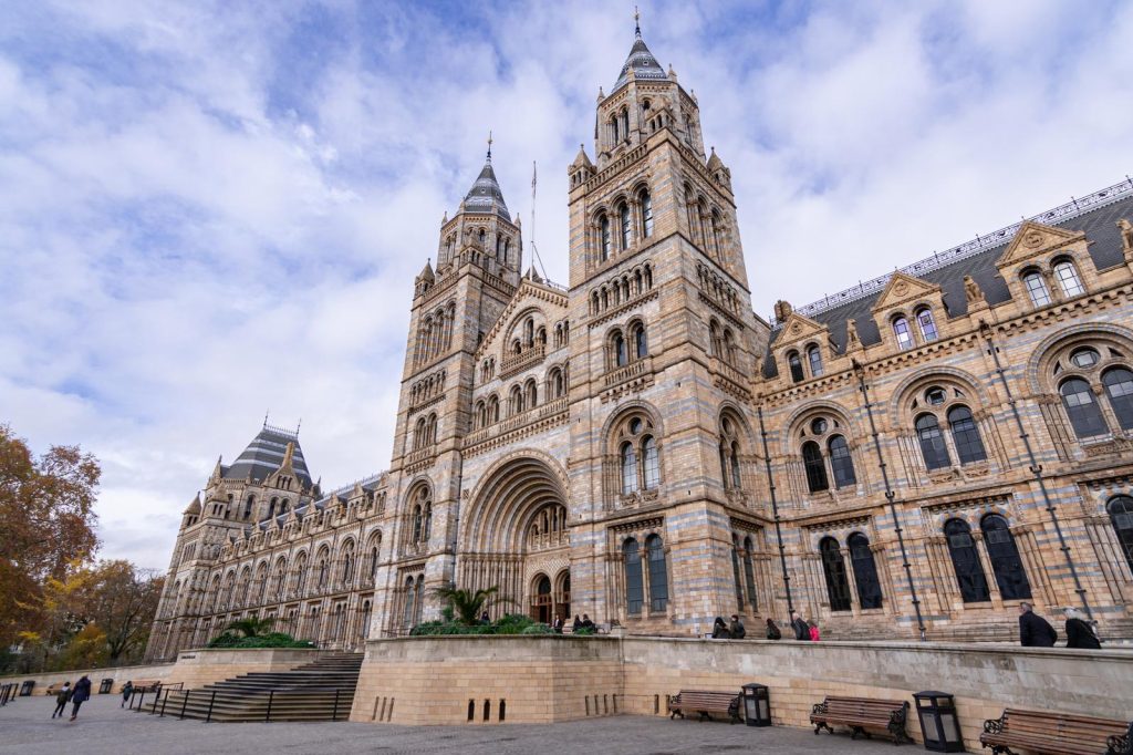 Museo storia naturale Londra