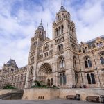 Museo Storia Naturale Londra: Viaggio nella Meraviglia della Vita sulla Terra!