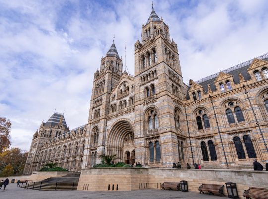 Museo storia naturale Londra
