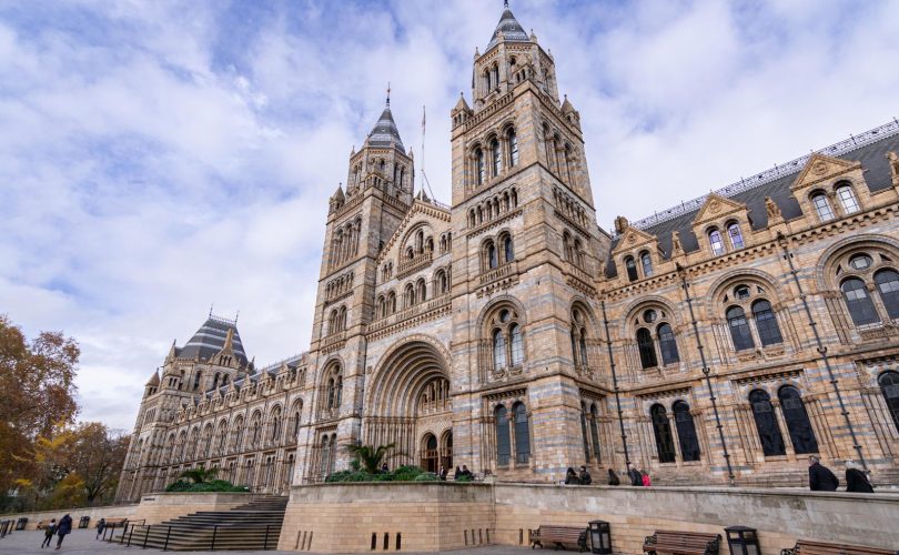 Museo storia naturale Londra