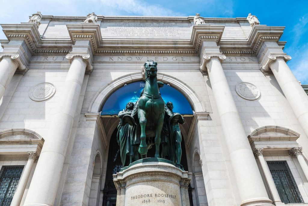 Museo storia naturale New York
