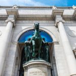 Splendori del Passato: Tesori Incredibili del Museo di Storia Naturale di New York!