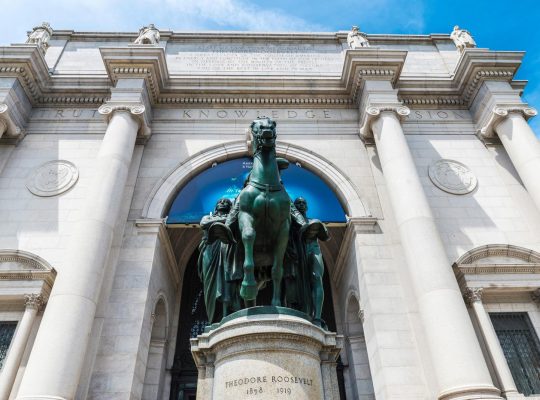 Museo storia naturale New York