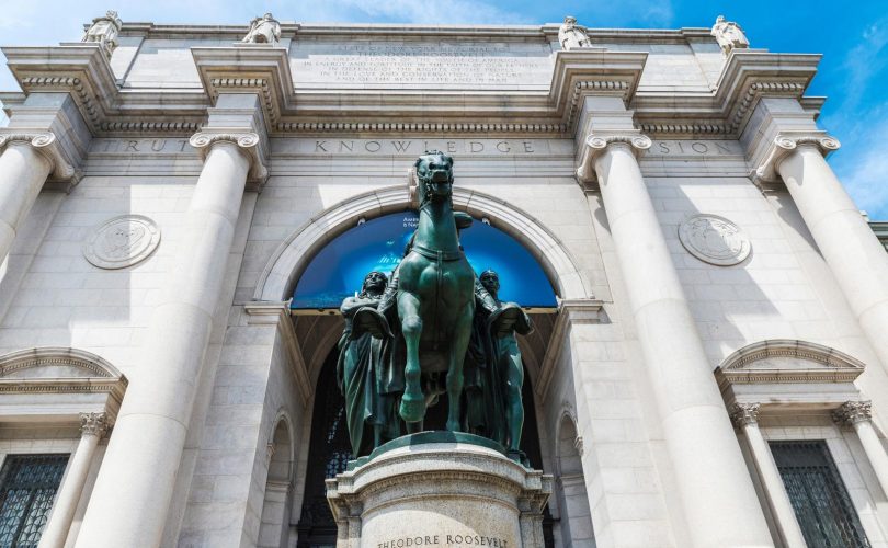 Museo storia naturale New York