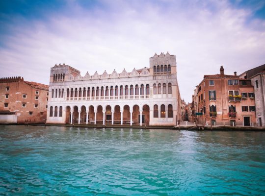 Museo storia naturale Venezia