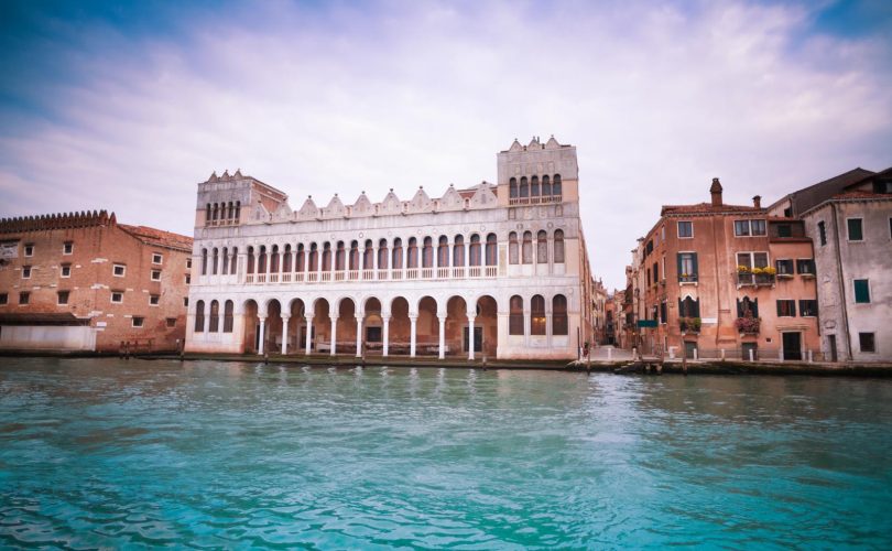 Museo storia naturale Venezia