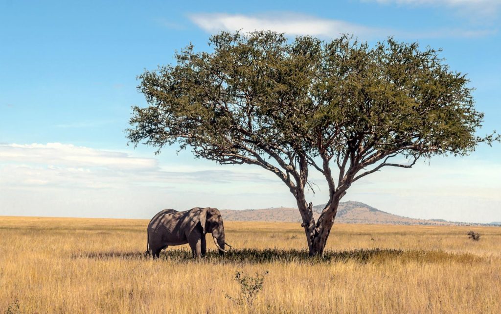 Tanzania quando andare