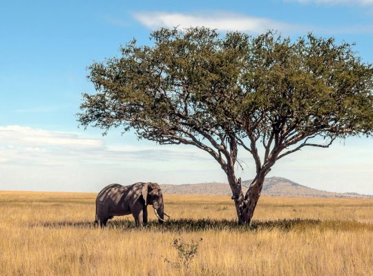 Tanzania quando andare