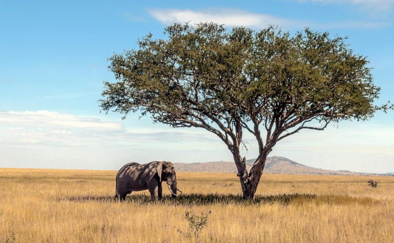 Tanzania quando andare
